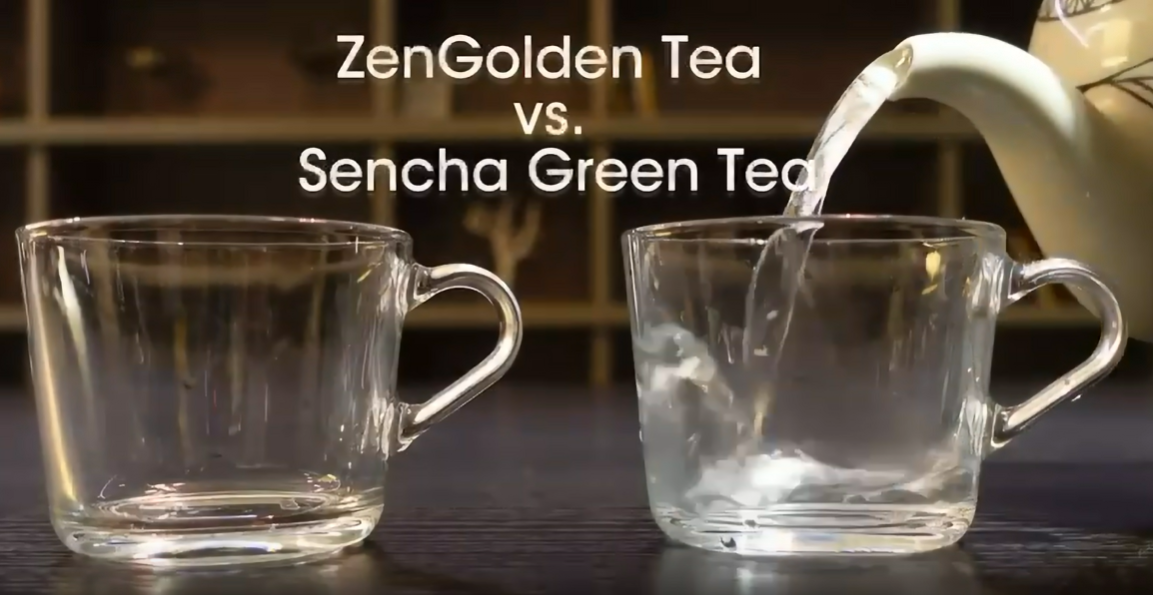 Why ZenGolden Tea is Better than Green Tea for Intermittent Fasting